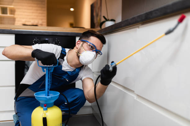 Best Pest Control Near Me  in Berwyn, IL